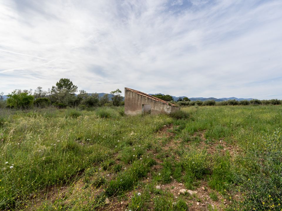 Finca i La Senia, Tarragona - foto 5