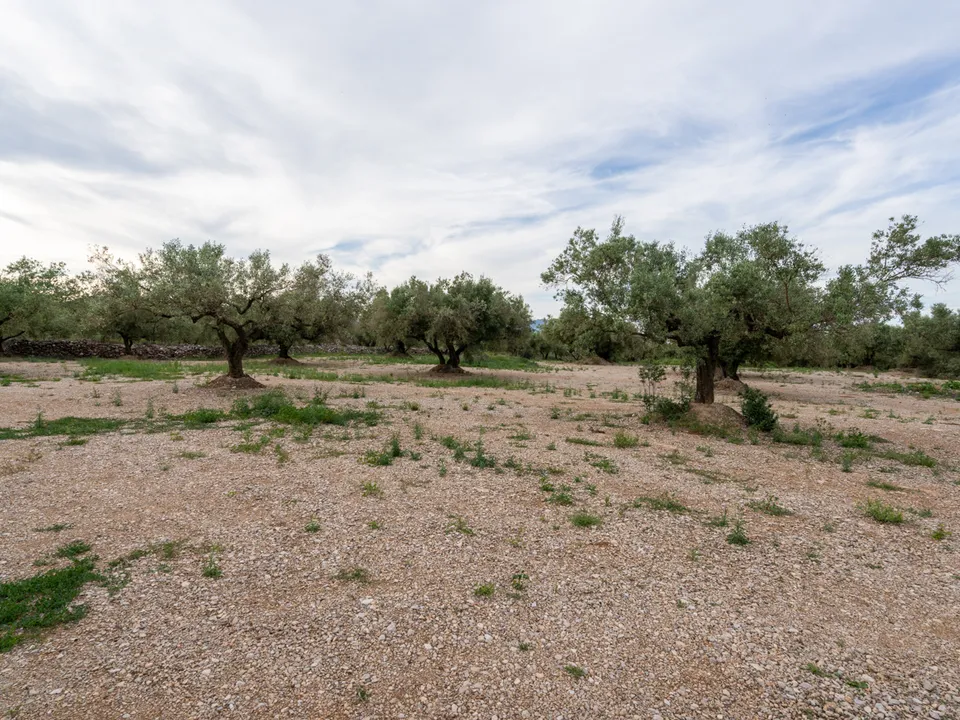 Finca i Ulldecona, Tarragona - bilde 1