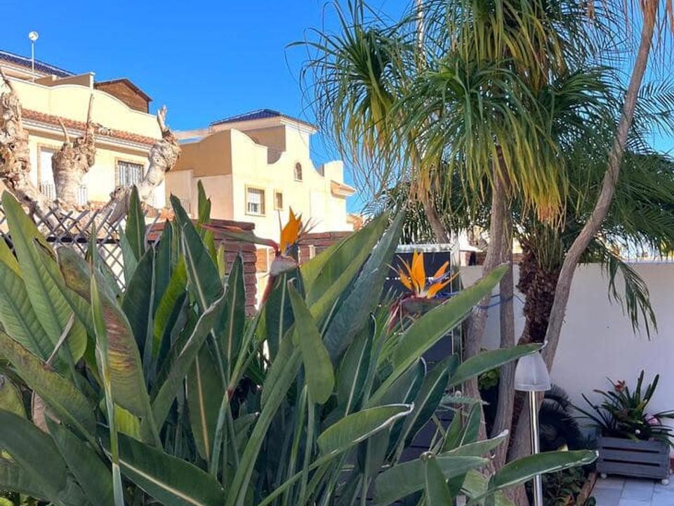 Byhus i Torre de la Horadada, Alicante - foto 4
