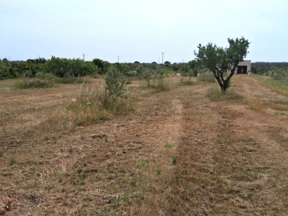 Helårsgrund i Presicce-Acquarica, Lecce - foto 1