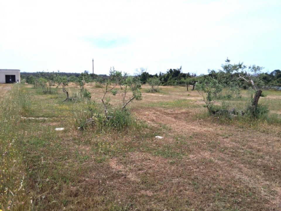 Helårsgrund i Presicce-Acquarica, Lecce - foto 2