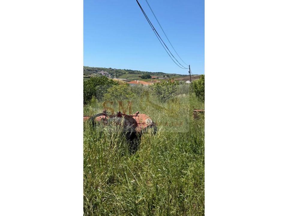 Helårsgrund i Alenquer, Lisbon - foto 3
