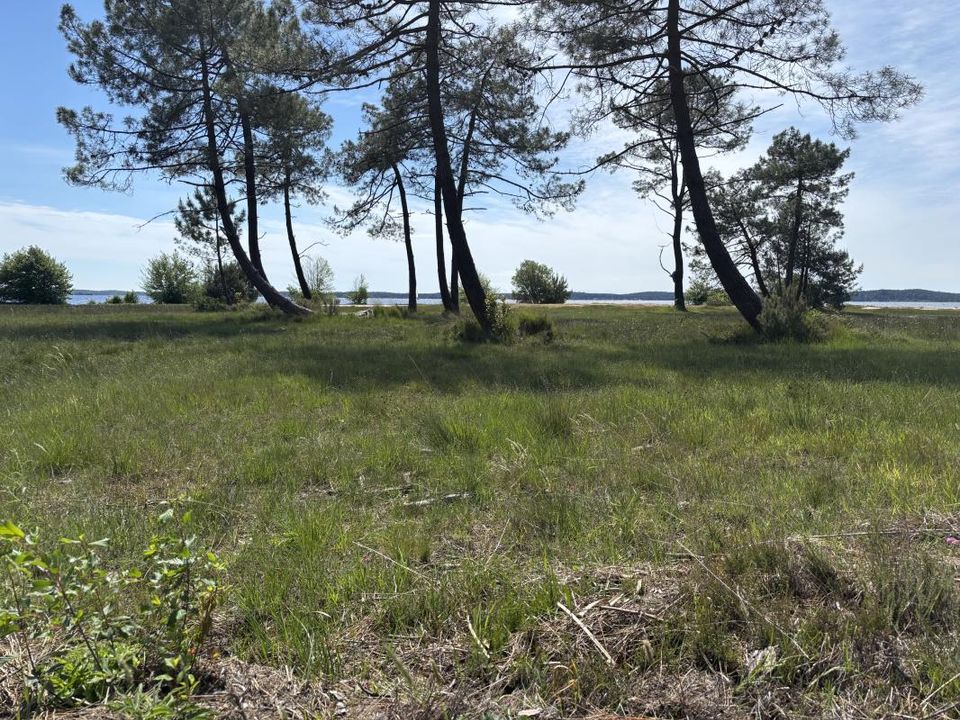 Helårsgrund i Lacanau, Gironde - foto 1