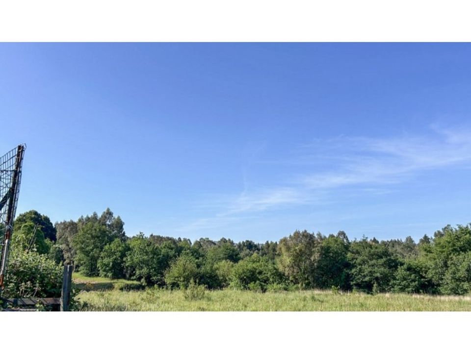 Terra a Montaria, Viana do Castelo - foto 4