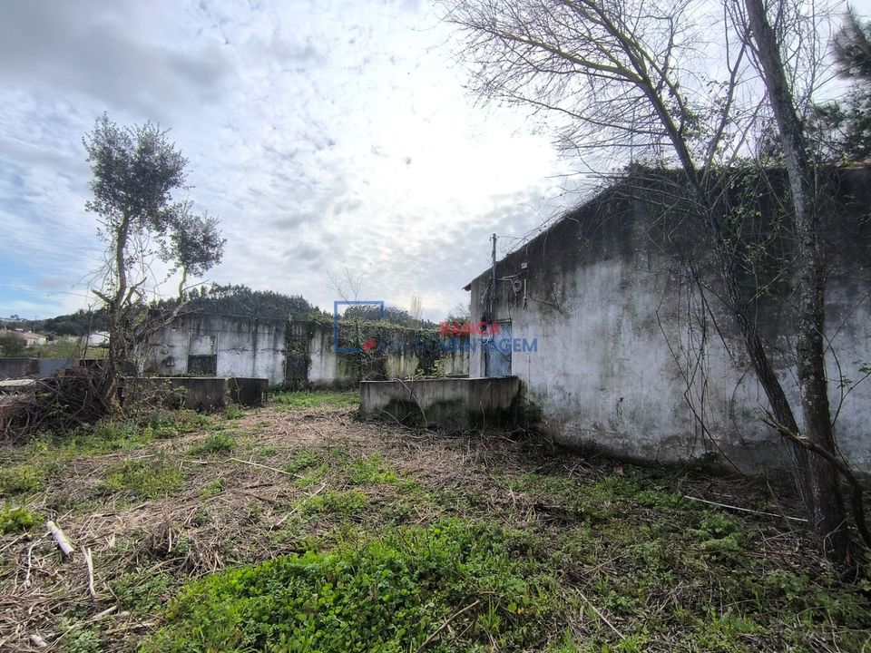 Farm i Rio Maior, Santarem - foto 1