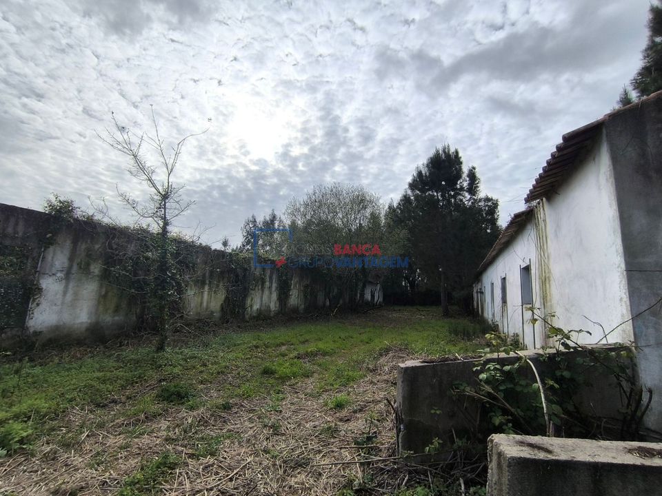 Farm i Rio Maior, Santarem - foto 4