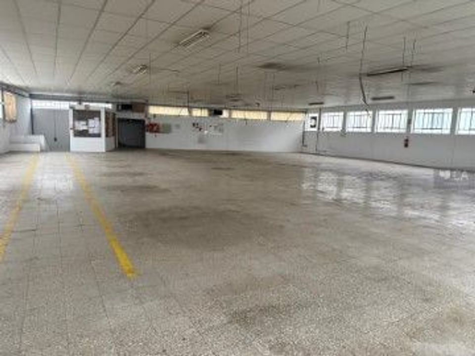 Erhvervsejendom i Santa Maria da Feira, Aveiro - foto 4