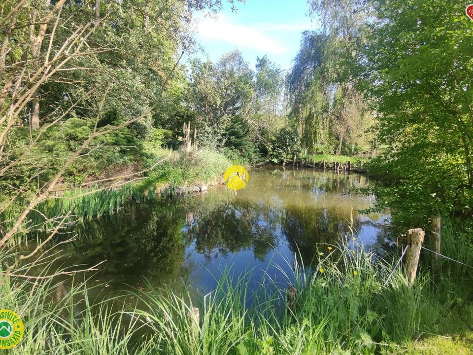 Villa i Jouet-sur-l'Aubois, Cher - foto 3