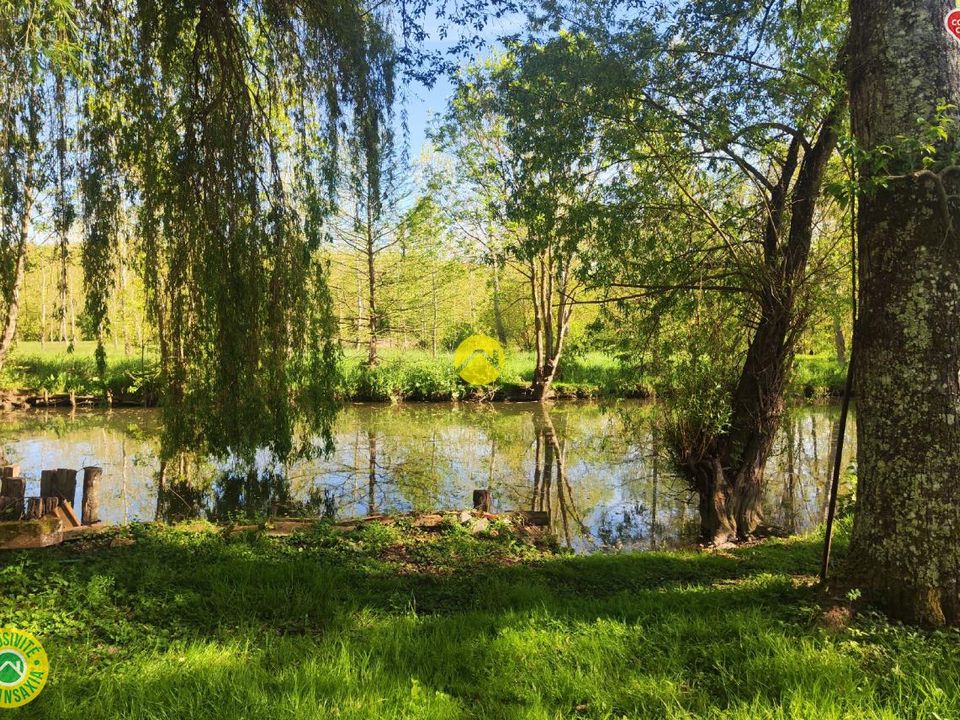Villa i Jouet-sur-l'Aubois, Cher - foto 4