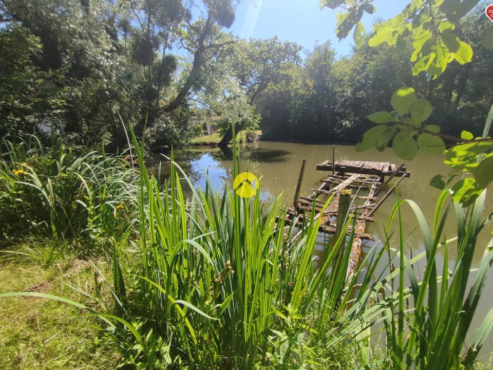 Landejendom i Cernoy-en-Berry, Loiret - foto 2