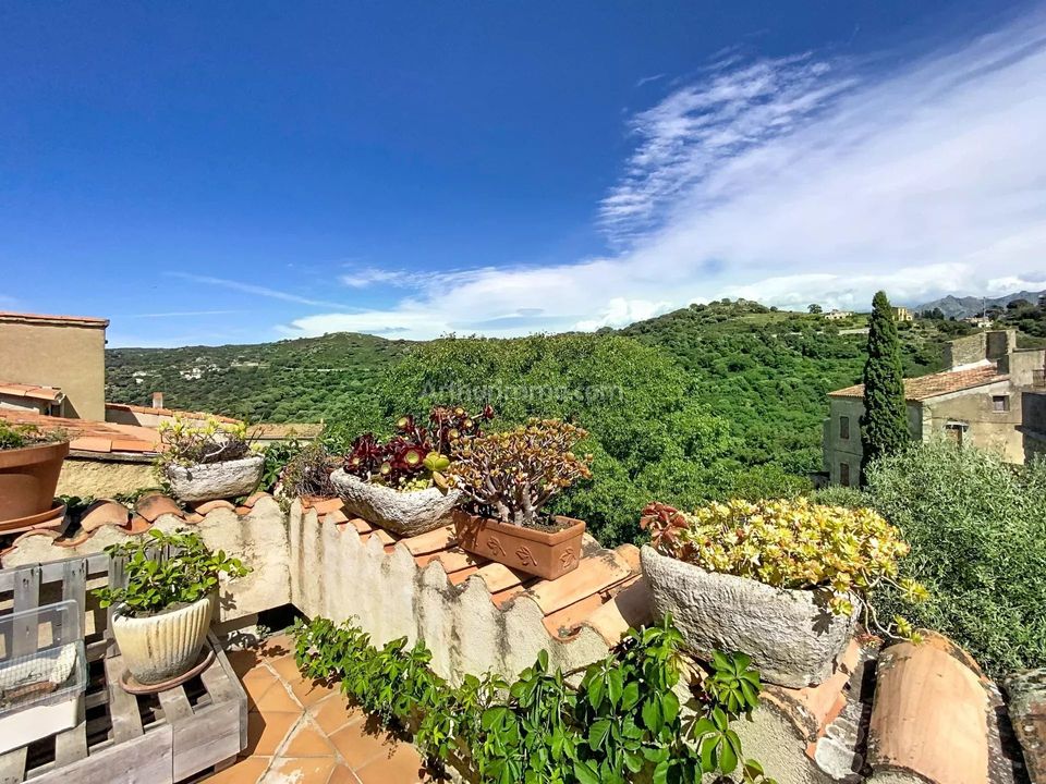 Lejlighed i Cateri, Haute-Corse - foto 1