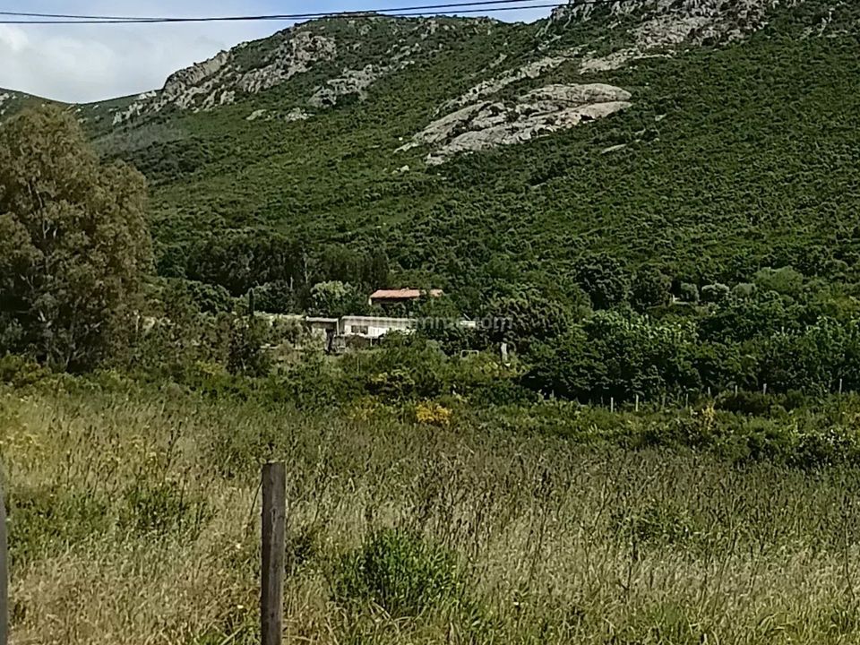 Helårsgrund i Moncale, Haute-Corse - foto 1
