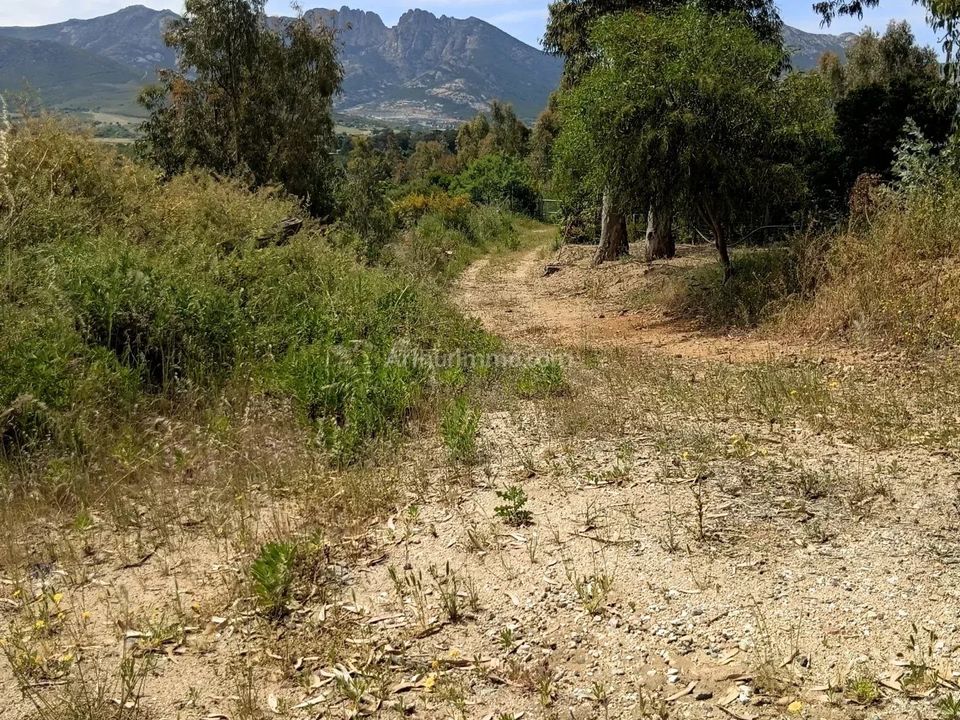 Helårsgrund i Moncale, Haute-Corse - foto 4