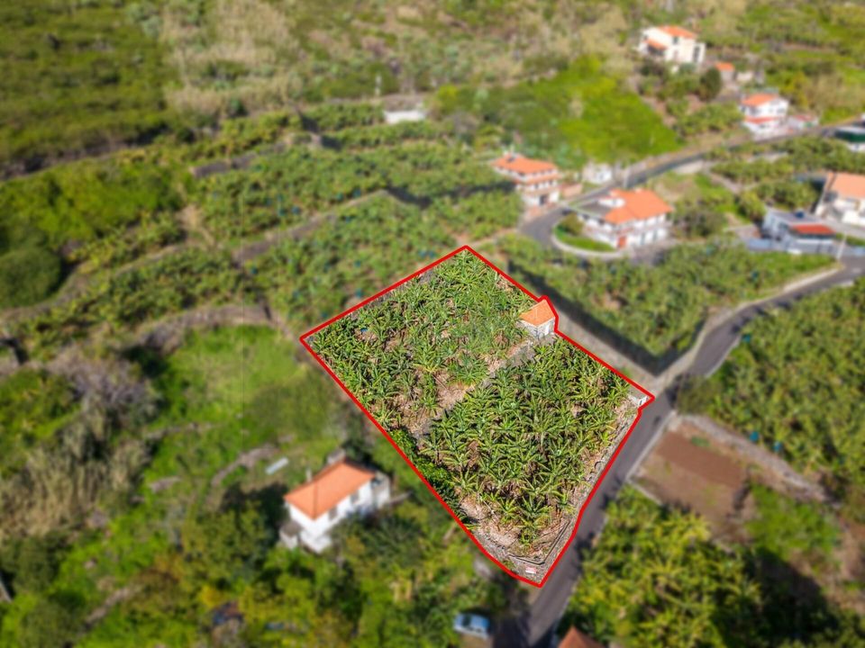 Helårsgrund i Ribeira Brava, Madeira - foto 1