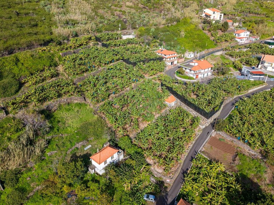 Helårsgrund i Ribeira Brava, Madeira - foto 2