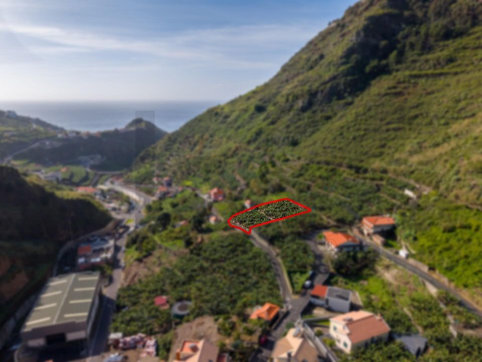 Helårsgrund i Ribeira Brava, Madeira - foto 5