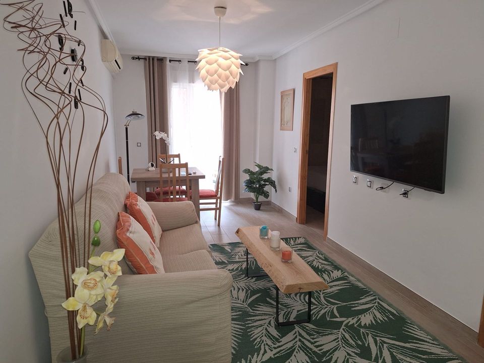 Apartment in Torrevieja, Alicante - photo 1