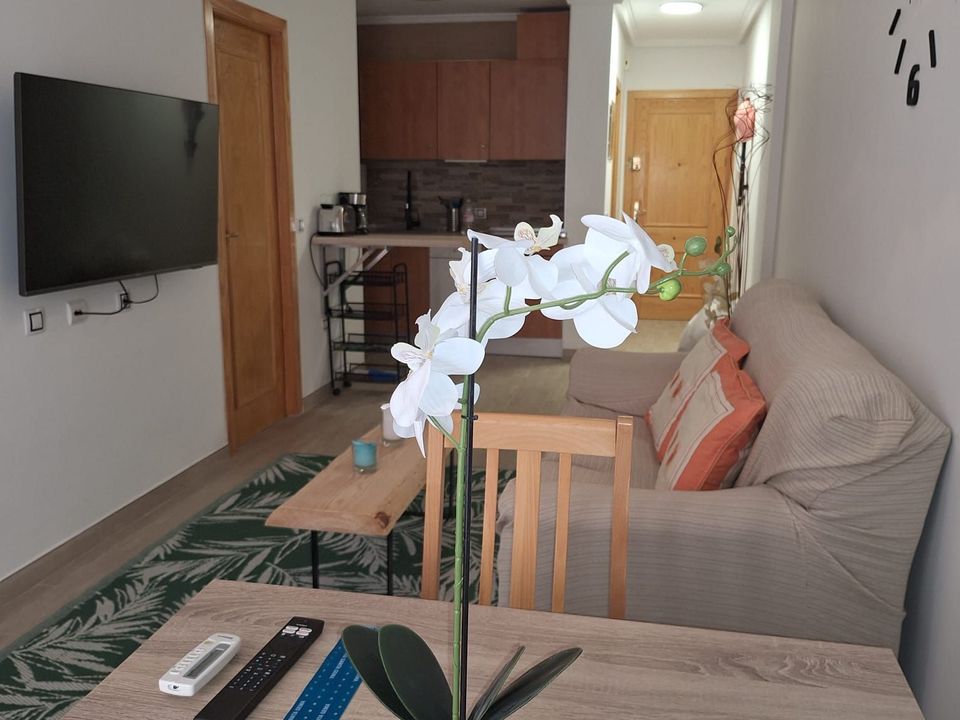 Apartment in Torrevieja, Alicante - photo 3