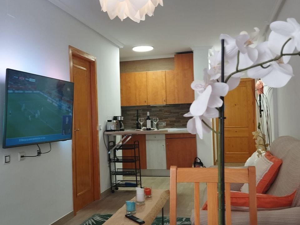Apartment in Torrevieja, Alicante - photo 4