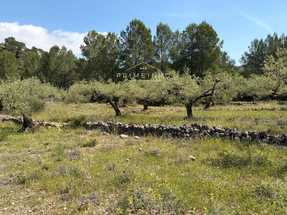 Finca i L'Ametlla De Mar, Tarragona - foto 5