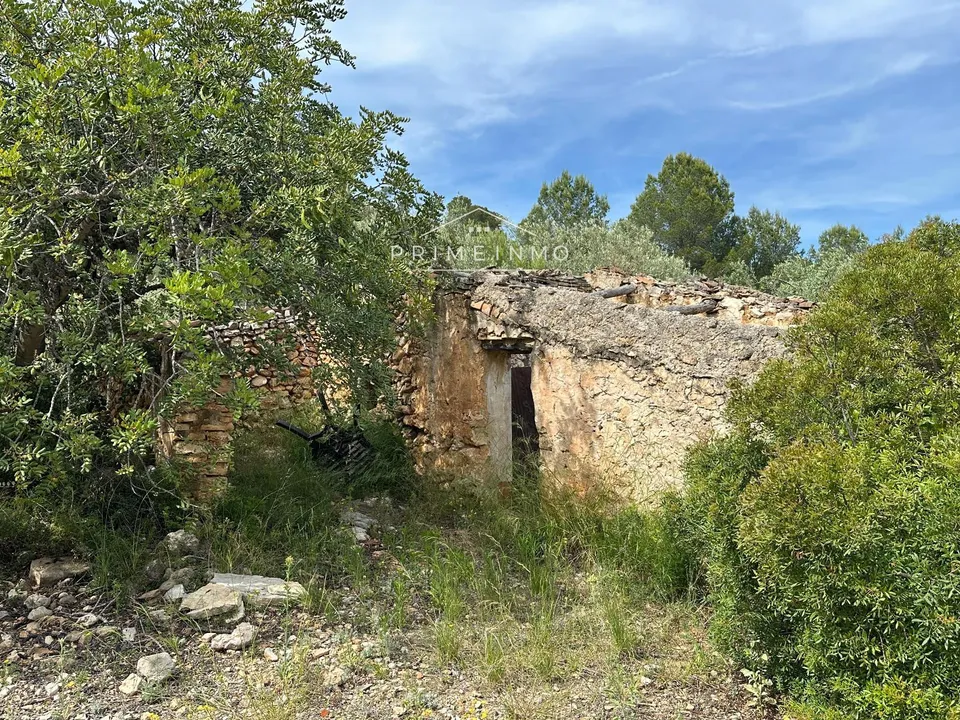 Finca i L'Ametlla De Mar, Tarragona - foto 4