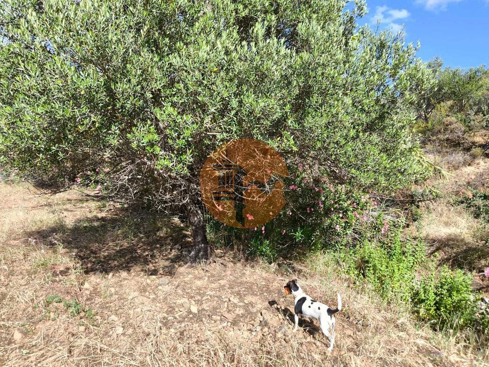 Helårsgrund i Castro Marim, Faro - foto 4