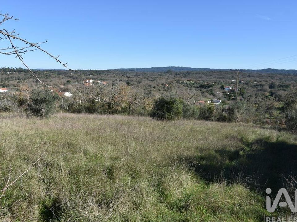 Helårsgrund i Ferreira do Zezere, Santarem - foto 1