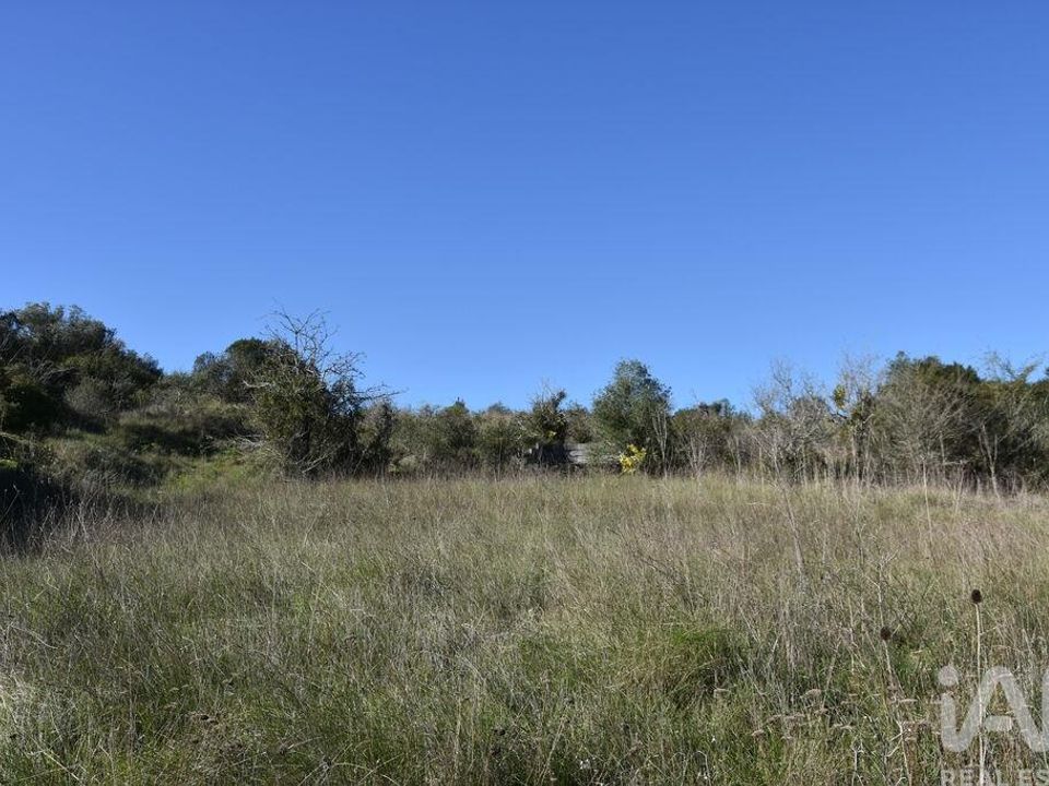 Helårsgrund i Ferreira do Zezere, Santarem - foto 5