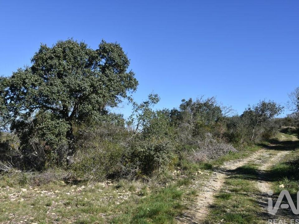 Helårsgrund i Ferreira do Zezere, Santarem - foto 2