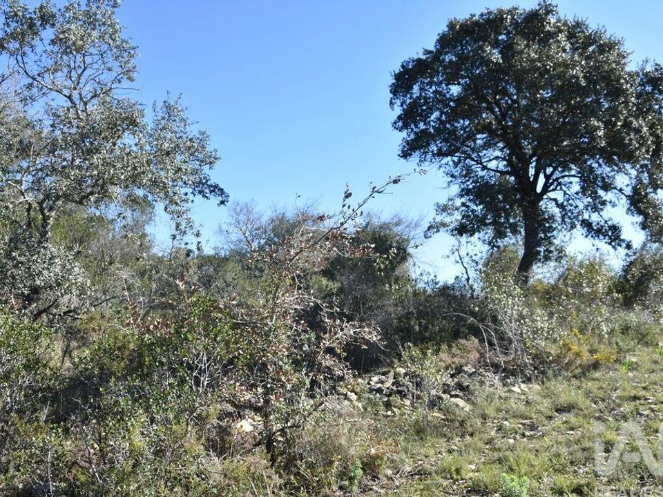 Helårsgrund i Ferreira do Zezere, Santarem - foto 4