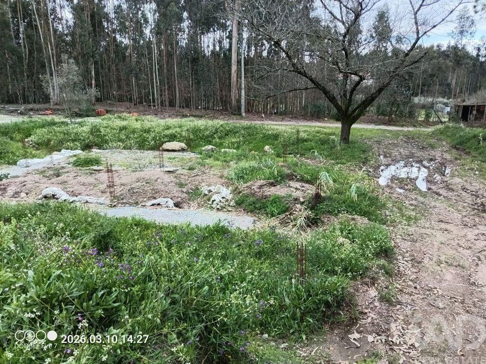 Helårsgrund i Santa Comba Dao, Viseu - foto 1