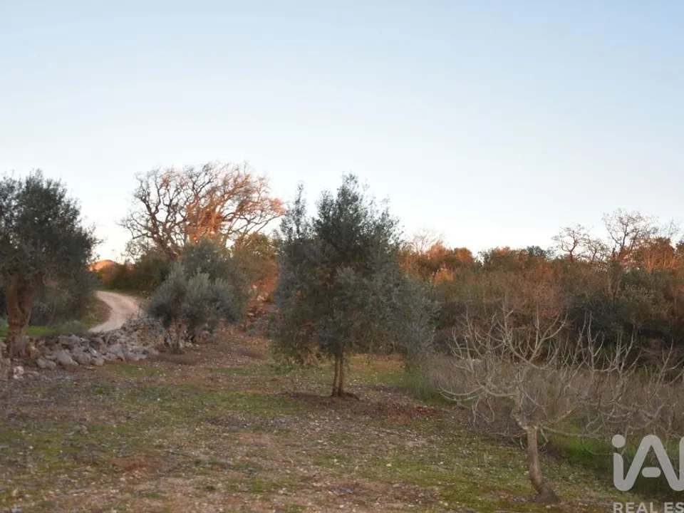 Helårsgrund i Ferreira do Zezere, Santarem - foto 2