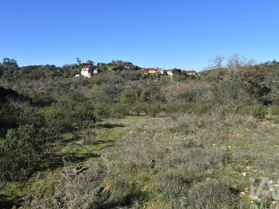 Helårsgrund i Ferreira do Zezere, Santarem - foto 1
