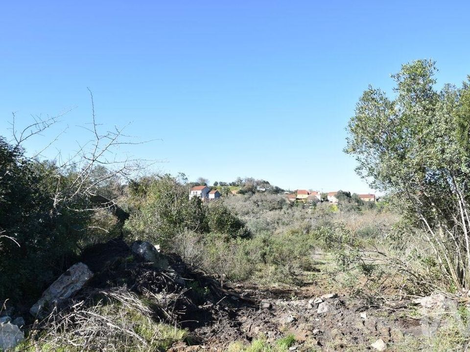 Helårsgrund i Ferreira do Zezere, Santarem - foto 4