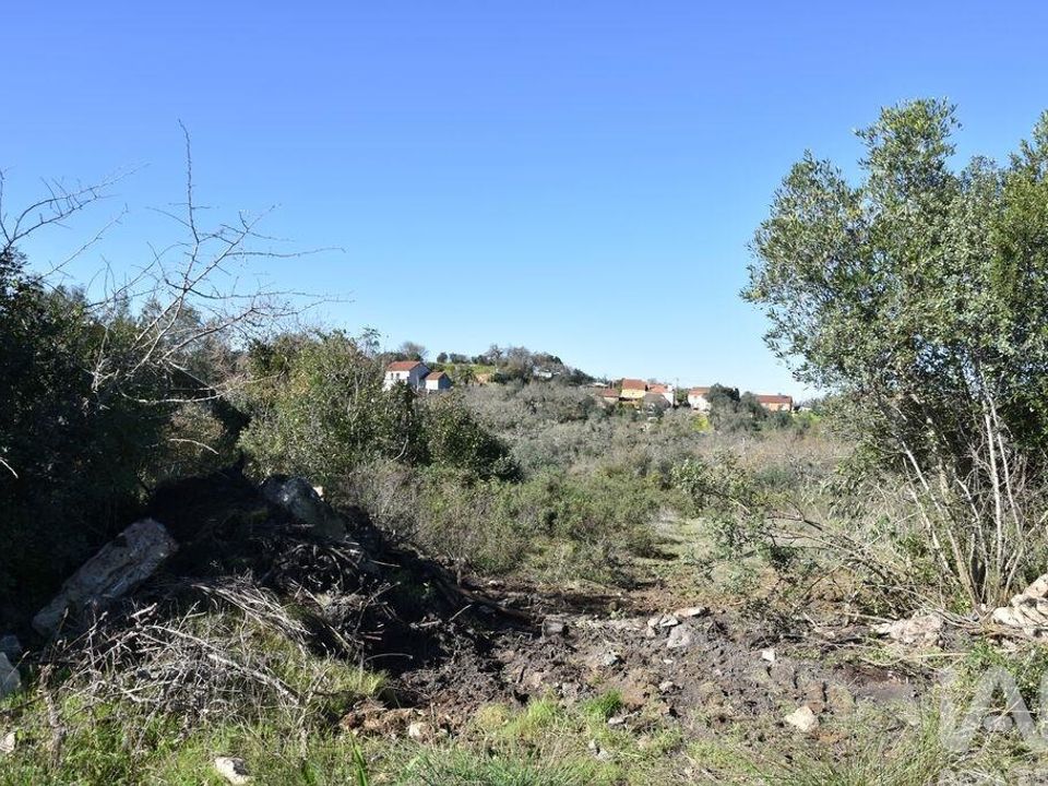 Helårsgrund i Ferreira do Zezere, Santarem - foto 5