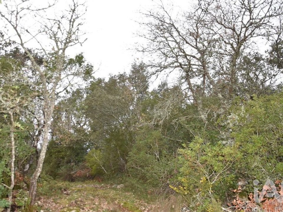 Helårsgrund i Ferreira do Zezere, Santarem - foto 5