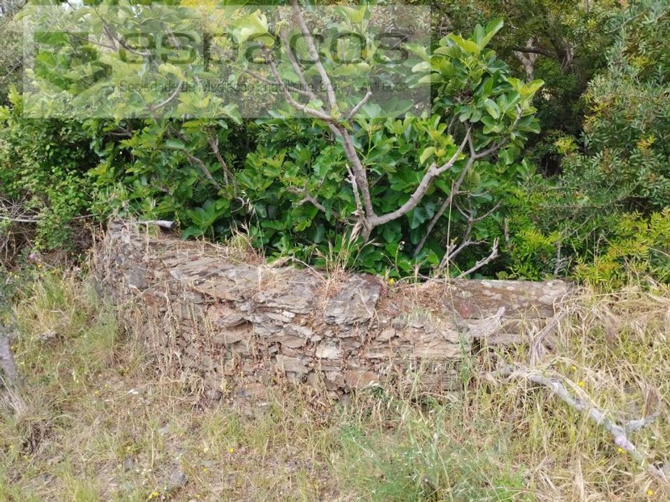 Helårsgrund i Perais, Castelo Branco - foto 4