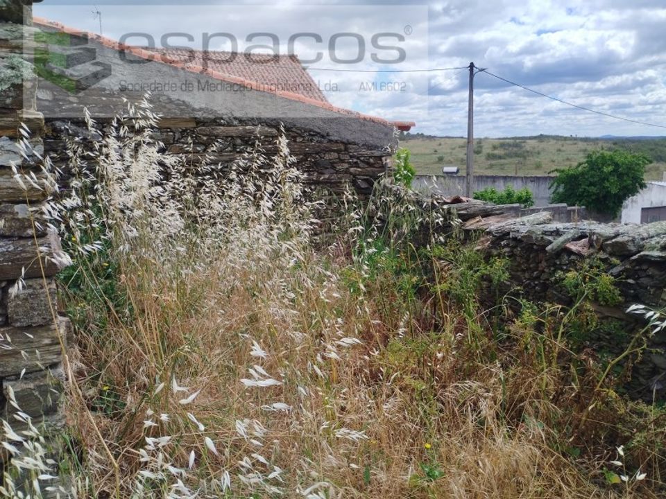 Helårsgrund i Perais, Castelo Branco - foto 5