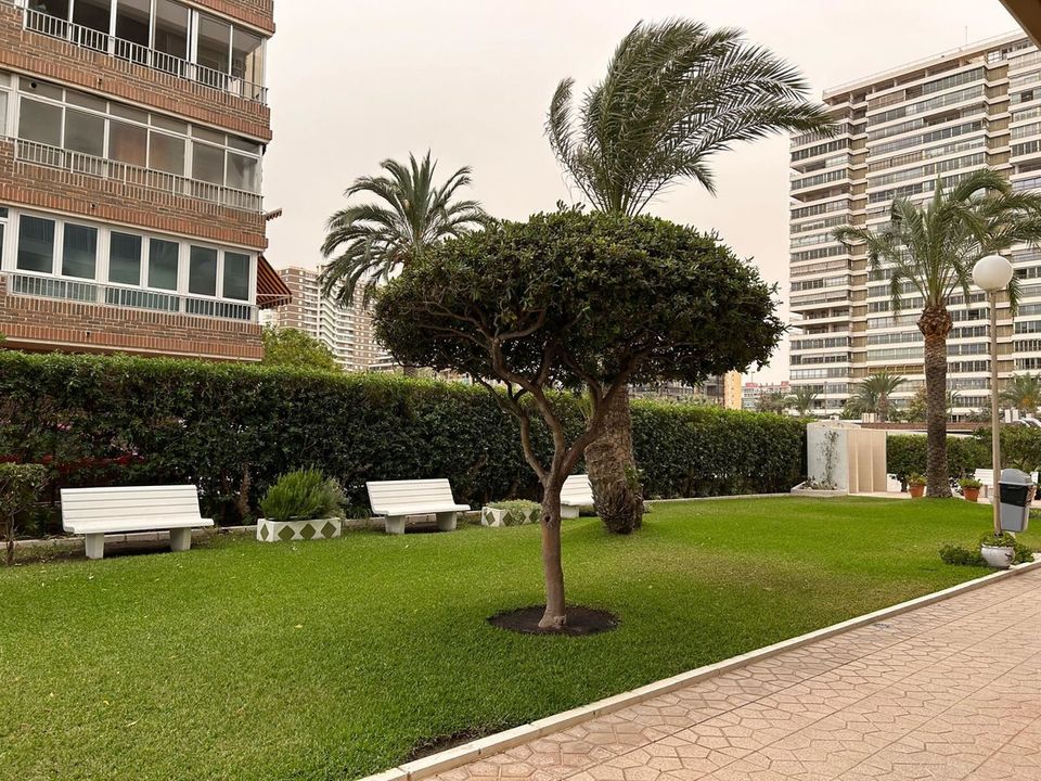 Lejlighed i Casco San Juan, Alicante - foto 2