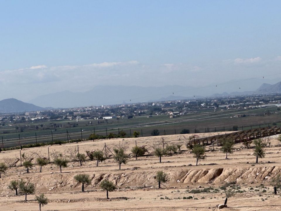 Helårsgrund i San Fulgencio, Alicante - foto 5