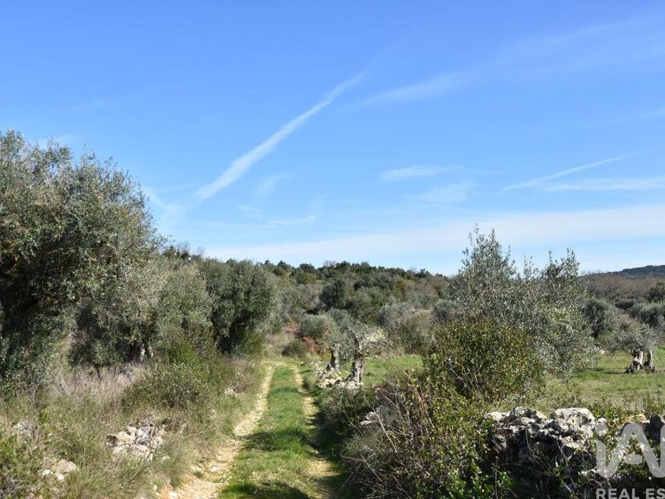 Helårsgrund i Ferreira do Zezere, Santarem - foto 2