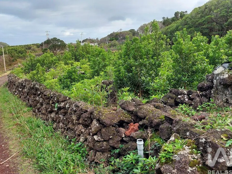Terreno en Lajes do Pico, Pico - foto 3