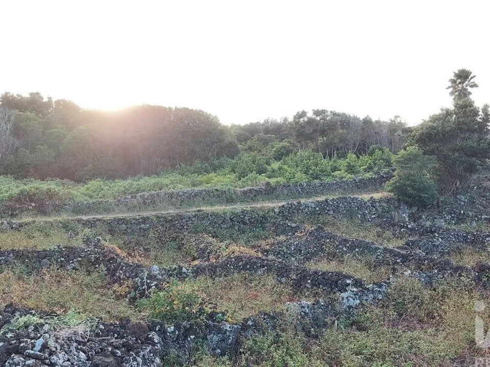 Terreno en Lajes do Pico, Pico - foto 4