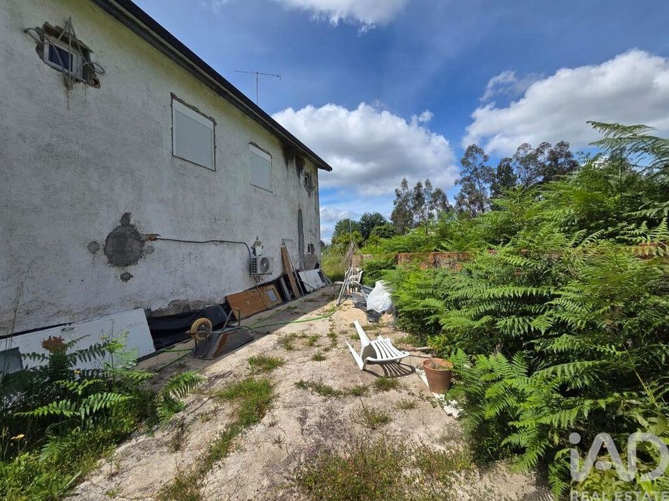 Byhus i Santa Comba Dao, Viseu - foto 4
