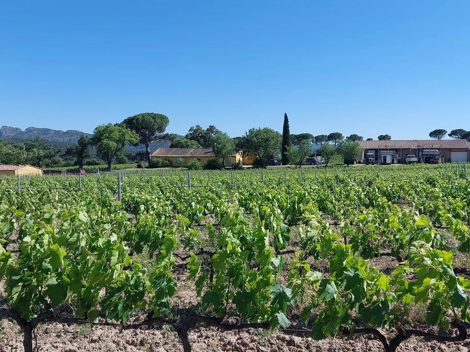 Villa i La Motte, Var - foto 1