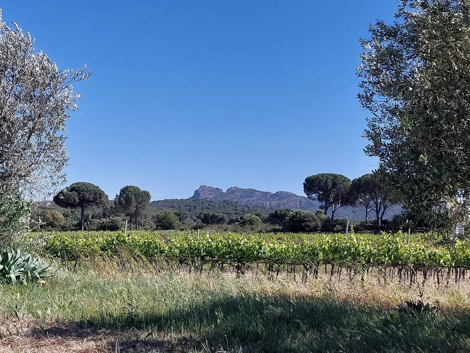 Villa i La Motte, Var - foto 2