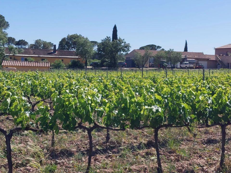Villa i La Motte, Var - foto 3