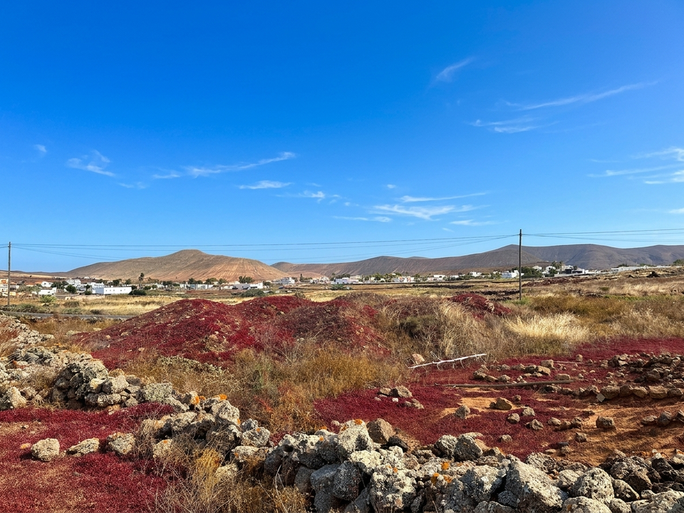 Helårsgrund i Villaverde, Fuerteventura - foto 4