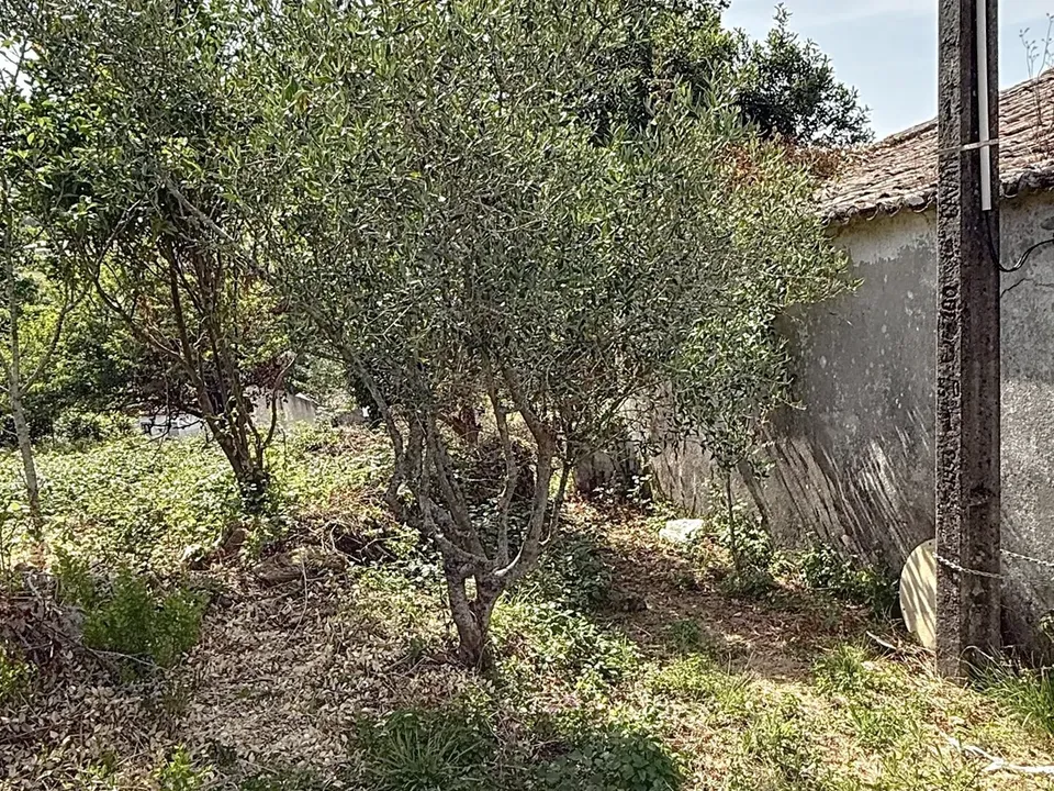 Farm hus i Mafra, Lisbon - foto 2