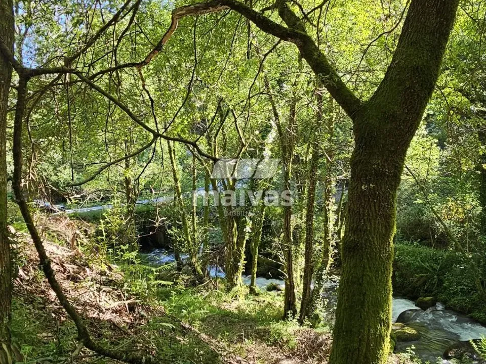 Lejlighed i Vila Verde, Braga - foto 5